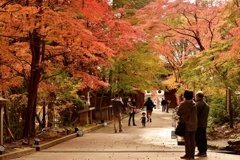 1D745391-1E84-4300-A754-21DC8573C28E