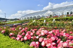 B24A7EB3-81B9-4906-8E20-7DB42B2738A0