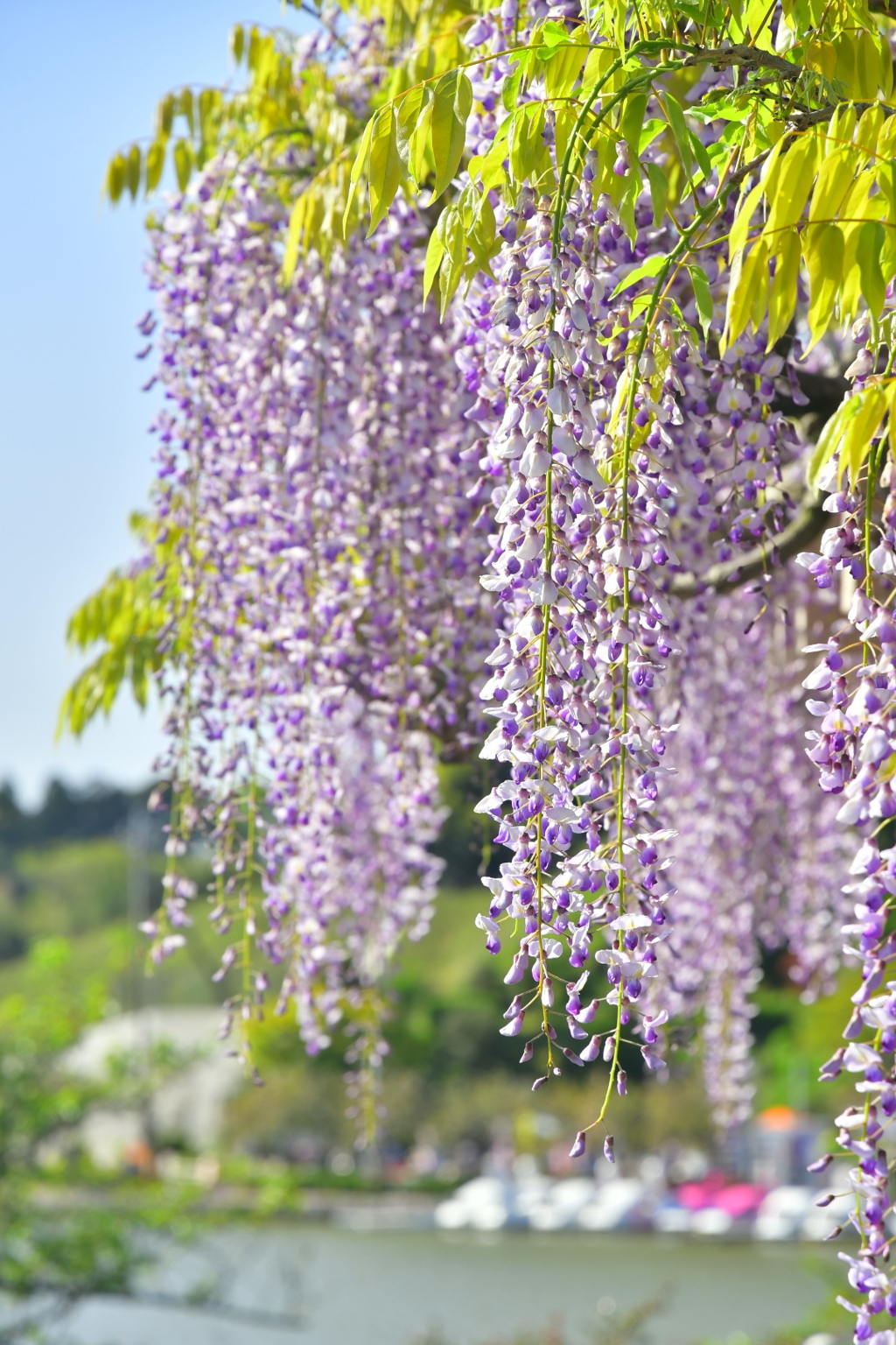 052406A0-A129-4D13-8768-C7BE4A482B64