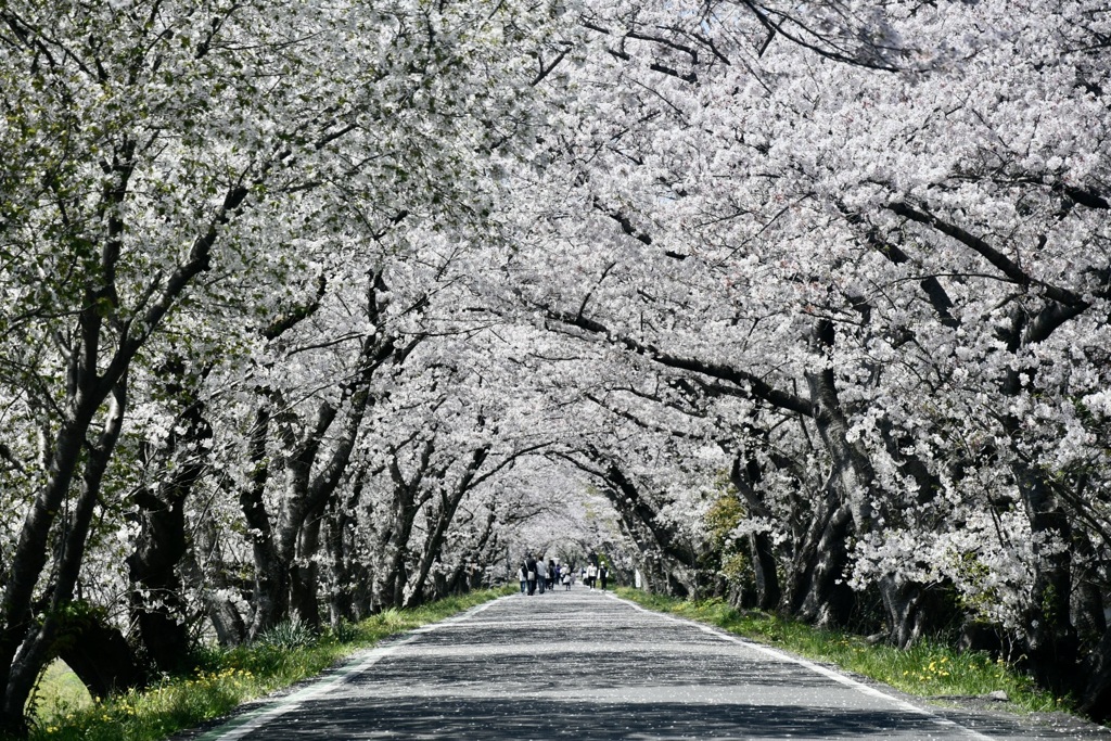 4FB13AE8-B0C4-4212-B734-B5C2B5986FD2