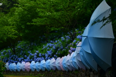 74E0DD53-D81C-4872-A5C6-E6E1EF4CD29E