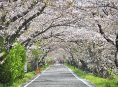 E979CF92-FBF9-4EE0-93B1-1DB7683D803D