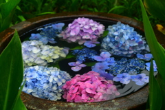 1ABF7693-1F64-4508-BD26-A71AC6B9D2FF