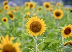 DEB55488-392B-4F22-91B3-CD8D1C1867D8