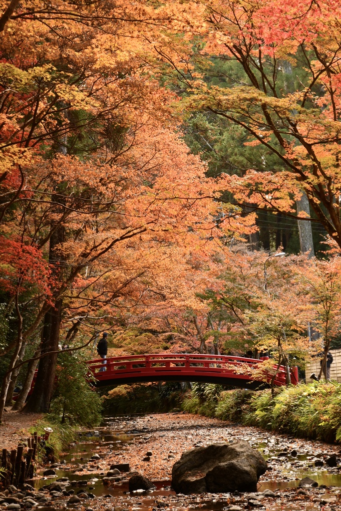 317A71E6-0949-44CA-BF82-F2D56264AC8C