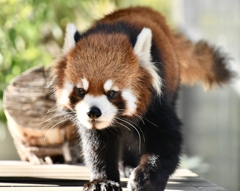 6E15D3BC-EFA5-4062-8860-ED77426886C3