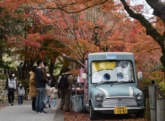 39D0A933-F64E-4D1C-B6D7-8DD6DABB7023