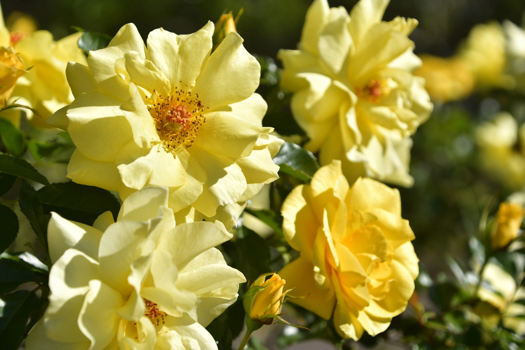 23EE843E-ECA4-47C6-9D4F-C355AA937D25