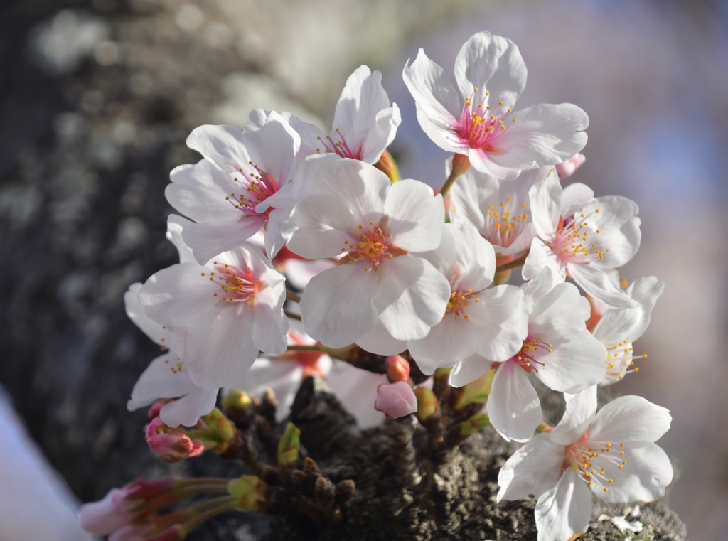 73E539E1-6EBB-473E-91ED-D12374625AA5