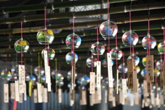 B4FDFFEB-21D6-4004-BE76-183401645857