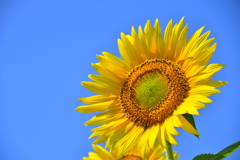 0EA7C042-3919-4536-823C-954D2248F0C3
