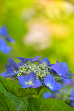 5F95566F-A151-4428-B74A-CCA2272C6B3B