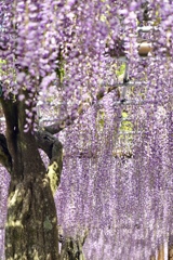 8067A454-B29D-44AE-B6B2-B6E2669DE813