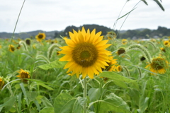 287CC769-459E-4AF7-BF2C-C9D59FFFD281