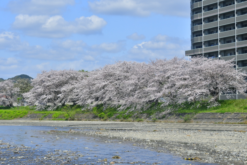 A9B4F657-4507-4430-B256-34CE849A8750