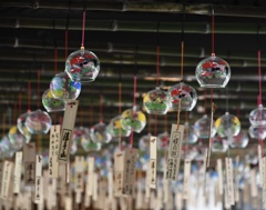 302527D6-90B3-46FF-8EB6-1FD9DD467AA7