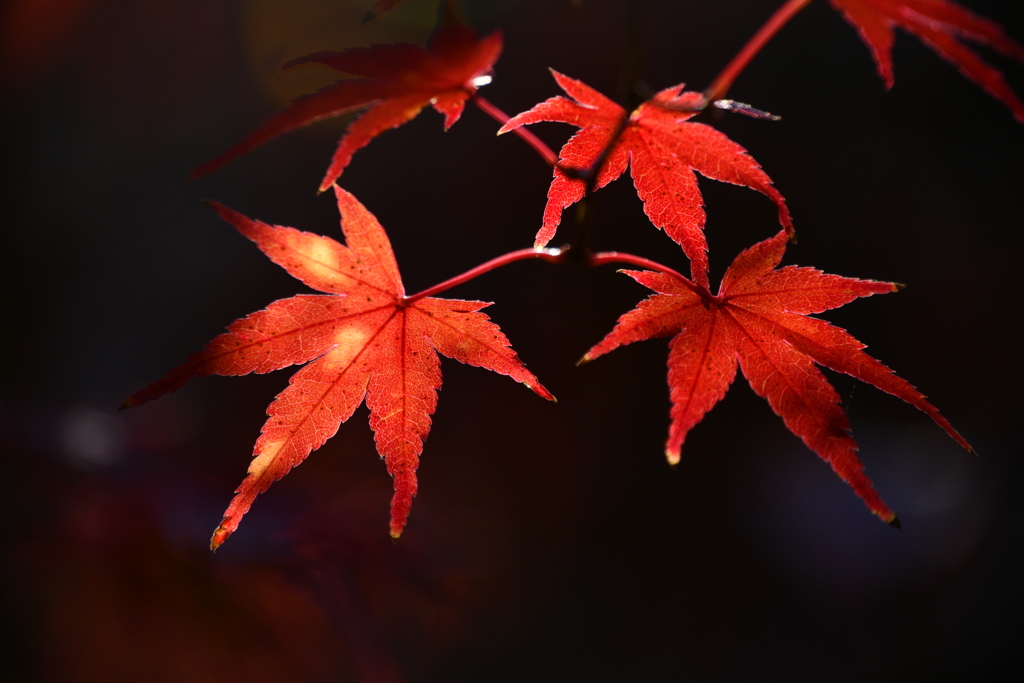0F228138-5370-4CC7-A648-130C4F4702DE