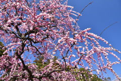 7A8FC5E8-B2A8-4A68-800D-568E50B9B8B0