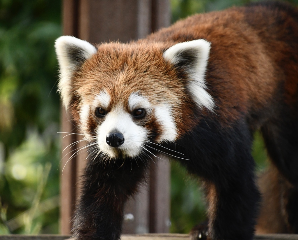 D9517D40-4E01-4C7E-961A-AC859F080222