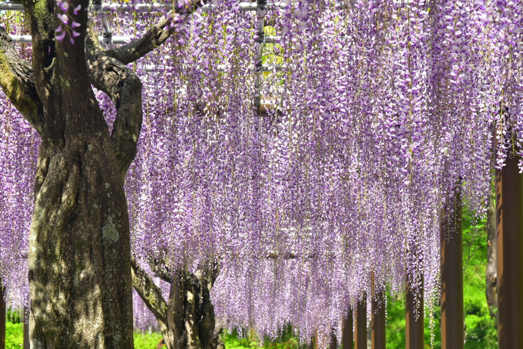 50E484C7-86FE-41DF-90A6-25E909C0E7B4