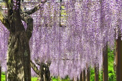 50E484C7-86FE-41DF-90A6-25E909C0E7B4