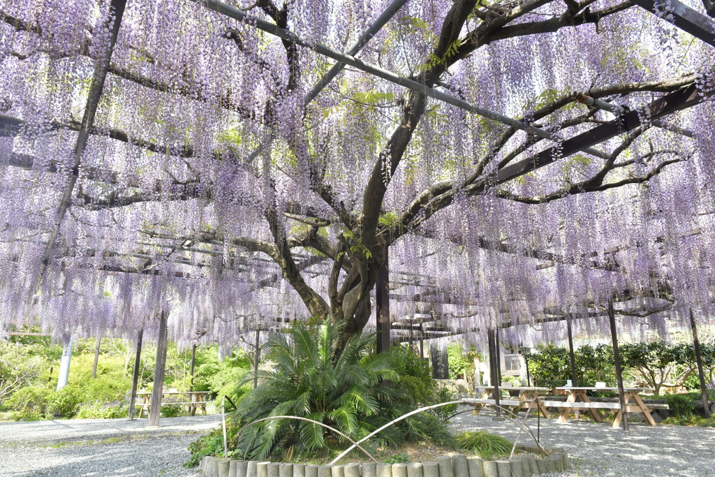 570B1D2D-7297-461E-95C0-F4D8D334CA93