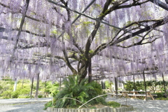 570B1D2D-7297-461E-95C0-F4D8D334CA93