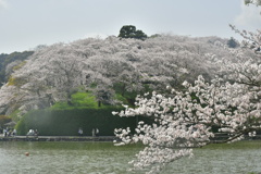 157BA10F-E53E-4005-A75E-CDC6D9F83959