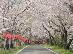 8CD0235F-E7A3-4AF6-8B7C-363F591DD875