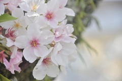 69FF5EB6-4726-410B-8A39-BA21B8B05AF8