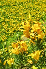 06F1C6E4-F903-4A7A-822F-35718A3CDF86