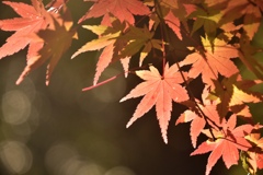 2BBE2786-B6A3-4D78-8BA4-9D0DD3CCC277