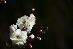 5DA3723D-56FC-4F25-8A92-4819D1D084F6