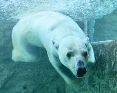 AB5FB781-277B-4704-90A5-EA7B875C84E5