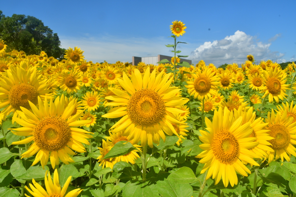 D160A852-F582-4EC6-B4CB-B8E870F72721