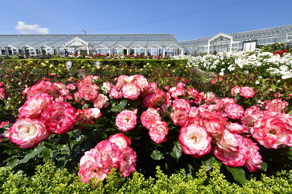 32DCE6B8-1290-41D5-923D-454B64736231