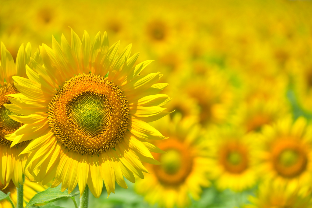 7457BC05-32FD-4397-A7B2-A7217C244895