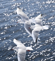 AB1FE893-6B66-4AE6-A68D-FA58808ECE10