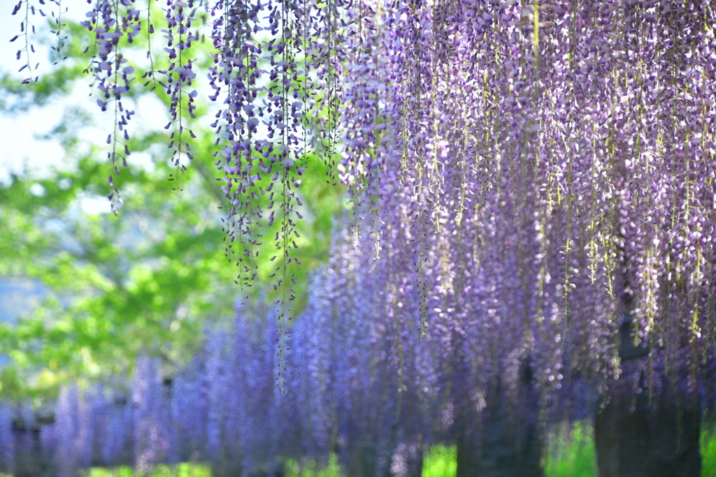 EF908FCA-AF90-4917-AD9F-B3A6F3D9B68F