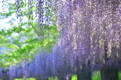 EF908FCA-AF90-4917-AD9F-B3A6F3D9B68F