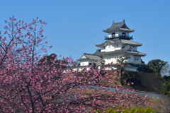 65FD3866-0F07-4455-9512-C69EEBBFEC57