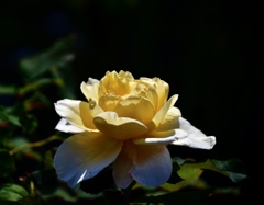 41FAFB5F-9C9E-4E77-85F1-91DBF192292D