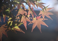 7206F901-D35C-40CC-85D2-8475BA762E15