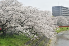 2B168AE1-6494-4C17-927B-E5A7EF648063