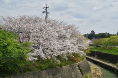 33431B2C-D98A-4BC4-A5FF-BD5105ABBA95