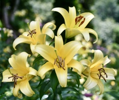 1A27DD2A-3CB3-4280-8854-C76D98308946