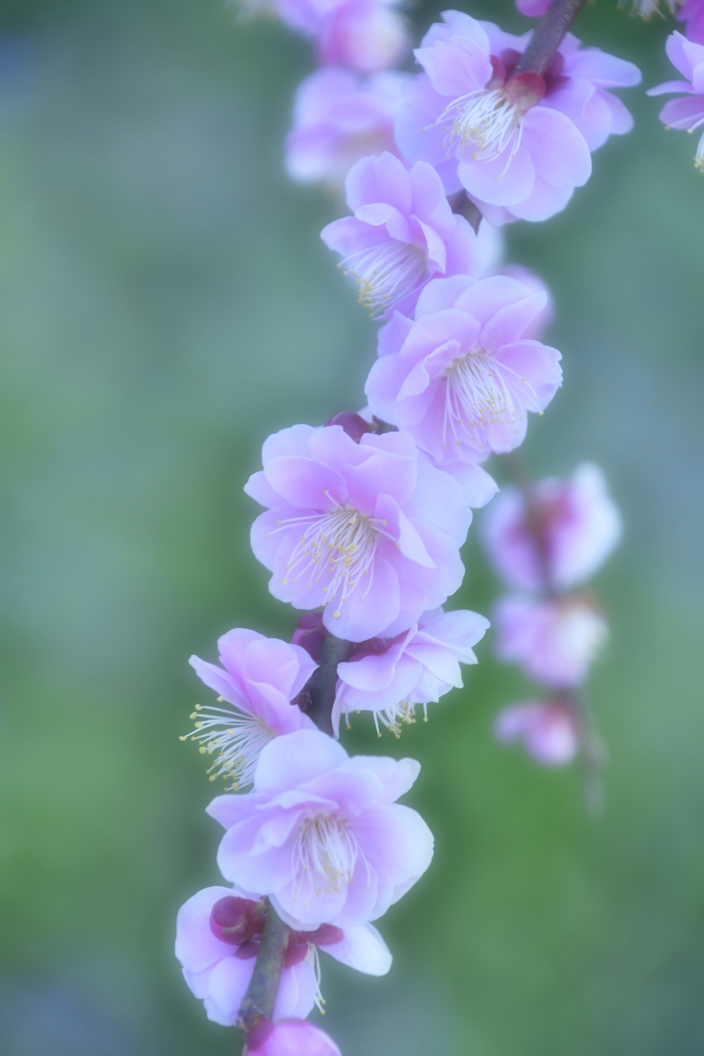 8126BF9C-3972-4D72-8DFC-094019C7A364