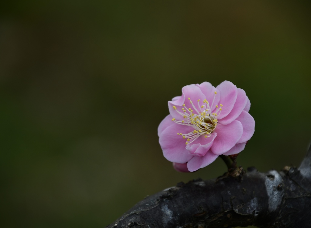 3621F837-3F91-4805-B83F-4765971A50FD