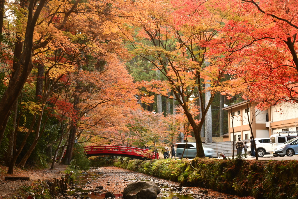 436E2EE2-4410-40F4-A91B-6A6025C81E5F