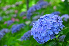 95C46C8B-3CB5-49D2-916B-75F1EB1033B4